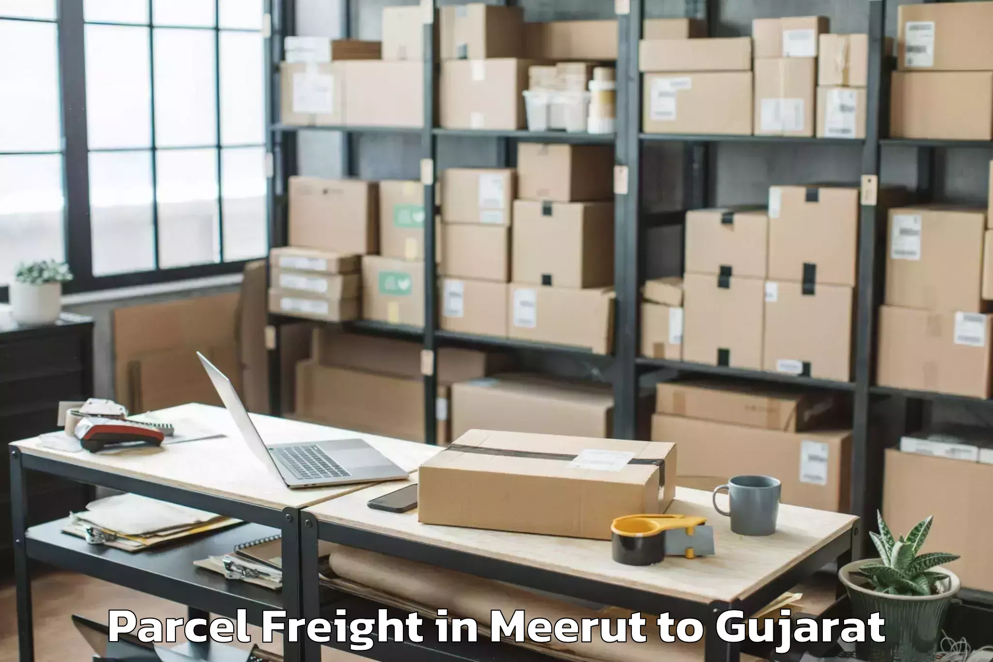 Reliable Meerut to Shree Somnath Sanskrit Univers Parcel Freight